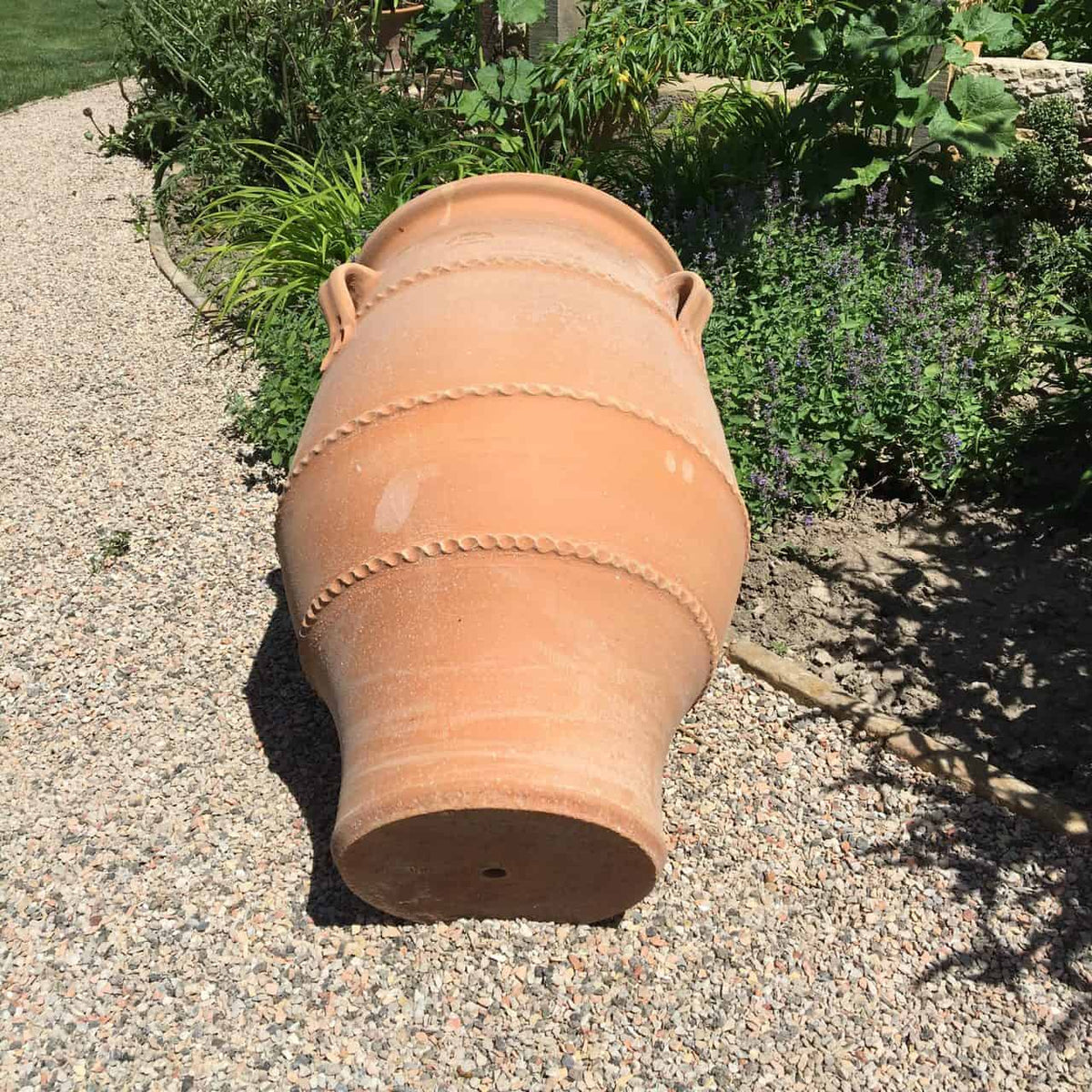 Eine große, frostfeste Terrakotta-Amphore „Thymus“, 70 cm hoch und mit dekorativen Rillen verziert, liegt auf der Seite auf einem Kiesweg. Um den Weg herum wachsen üppiges grünes Laub und blühende Pflanzen, darunter Zweige des duftenden Thymus. Die Sonne wirft Schatten und suggeriert einen hellen, sonnigen Tag.