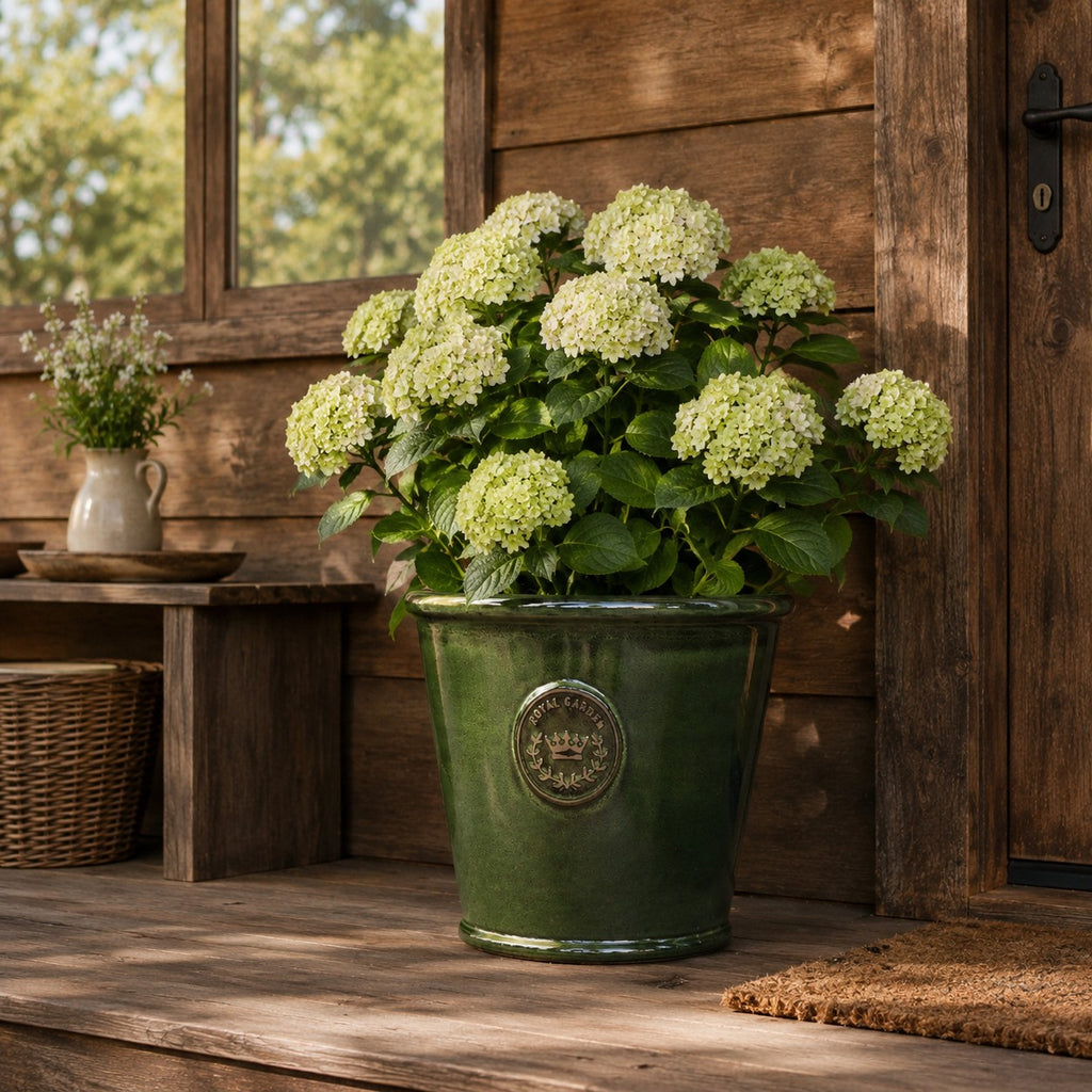Der glasierte Pflanzkübel „Garden Green“ (Höhe 19 bis 38 cm) mit weißen Hortensien steht auf einer Holzveranda neben einer rustikalen Mauer und einer Tür, neben einem Weidenkorb und einer Vase mit kleinen weißen Blumen.