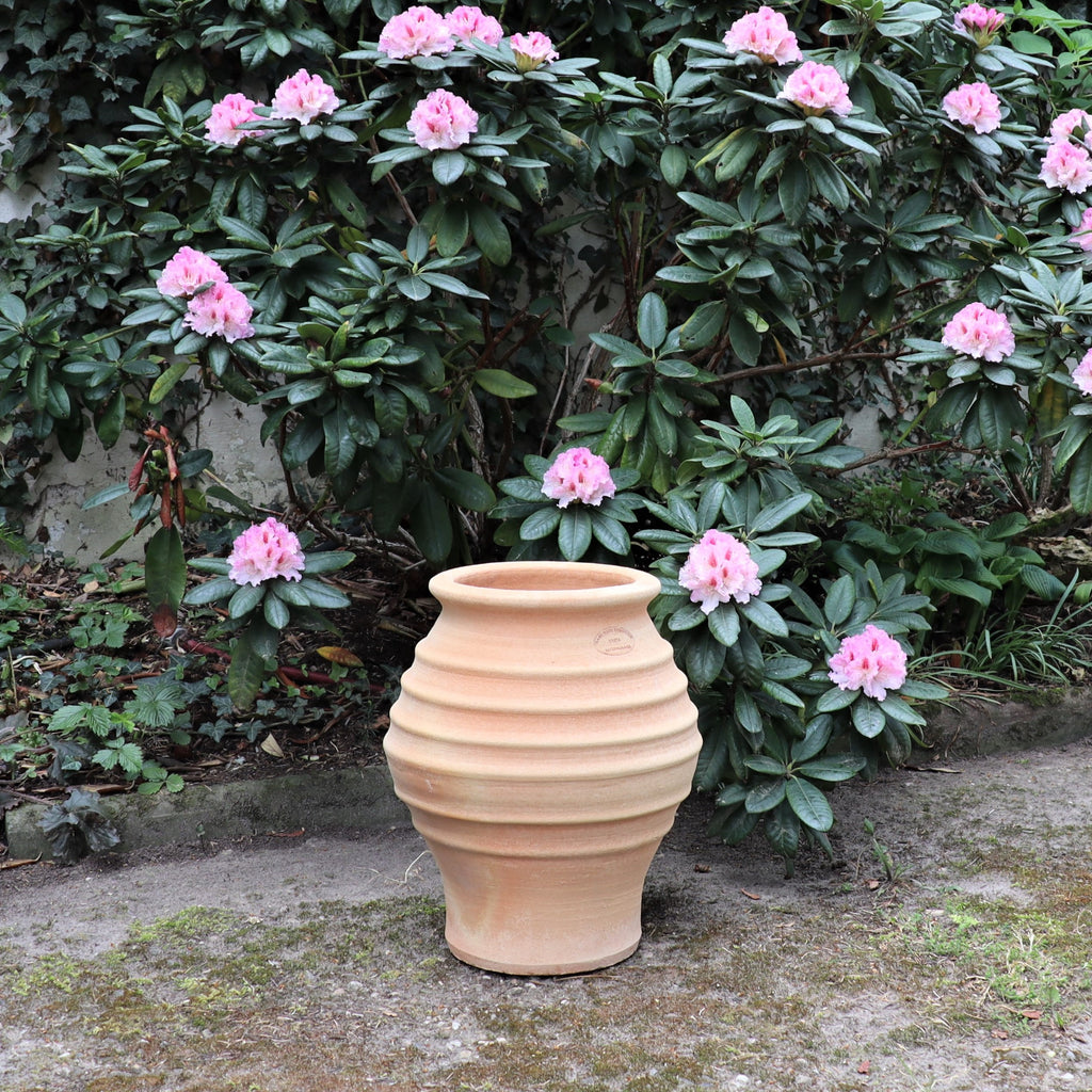 Die frostfeste Amphore "Agave" (H=40cm) steht auf dem Boden vor einem rosa Rhododendron, umgeben von grünem Laub und einem moosbewachsenen Weg.