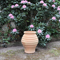 Die frostfeste Amphore "Agave" (H=40cm) steht auf dem Boden vor einem rosa Rhododendron, umgeben von grünem Laub und einem moosbewachsenen Weg.