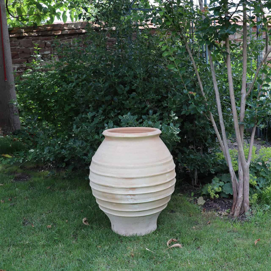 Ein 60 cm hoher, cremefarbener Keramiktopf mit geripptem Design steht auf einer Rasenfläche in einem üppigen Garten. Diese frostfeste Amphore „Agave“ ist von grünen Sträuchern und kleinen Bäumen umgeben, in der Nähe befindet sich eine Agave und im Hintergrund ist teilweise eine Steinmauer zu sehen.