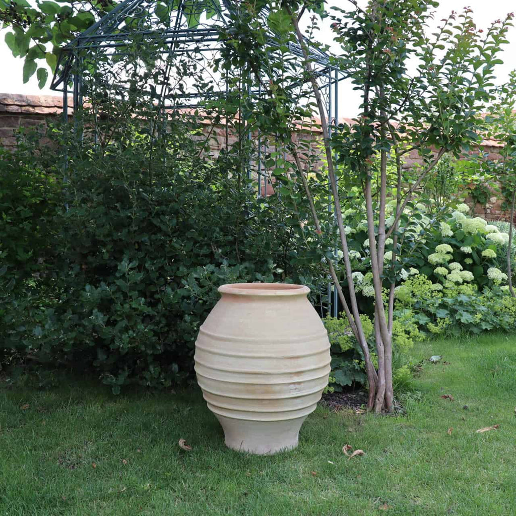 Die frostfeste Amphore „Agave“ H=60cm, ein großer beige gerippter Keramiktopf, steht auf einem gepflegten Rasen vor einem üppig grünen Garten. Der Topf beherbergt eine Agavenpflanze und wird von einer dekorativen Metalllaube und Laubbäumen eingerahmt, im Hintergrund steht eine Steinmauer.