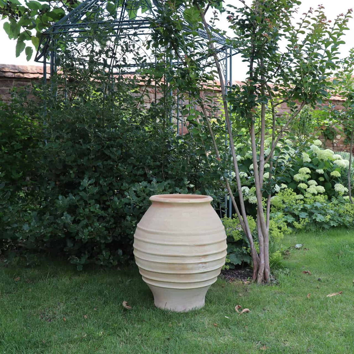 Die frostfeste Amphore „Agave“ H=60cm, ein großer beige gerippter Keramiktopf, steht auf einem gepflegten Rasen vor einem üppig grünen Garten. Der Topf beherbergt eine Agavenpflanze und wird von einer dekorativen Metalllaube und Laubbäumen eingerahmt, im Hintergrund steht eine Steinmauer.