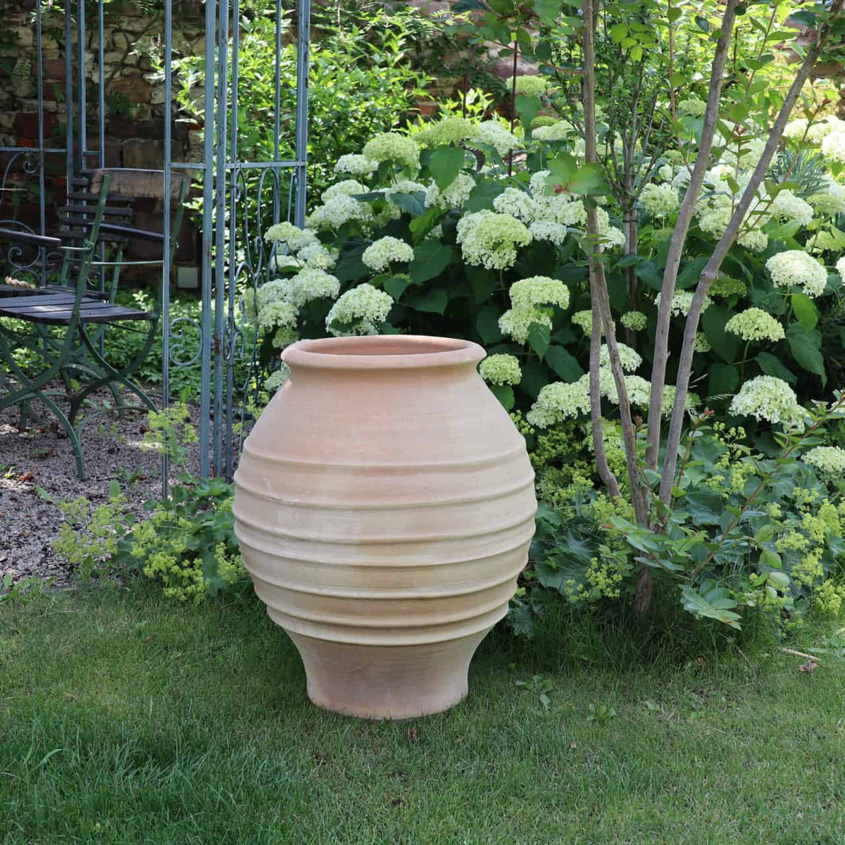 Eine große, beige Keramikvase mit geripptem Design steht auf einer Rasenfläche. Diese frostfeste Amphore „Agave“ H=60cm ist von üppigen grünen Sträuchern und zahlreichen weißen Blumen umgeben. Ein schmiedeeiserner Gartenstuhl steht inmitten der Gartenkulisse und trägt zur ruhigen Atmosphäre bei.