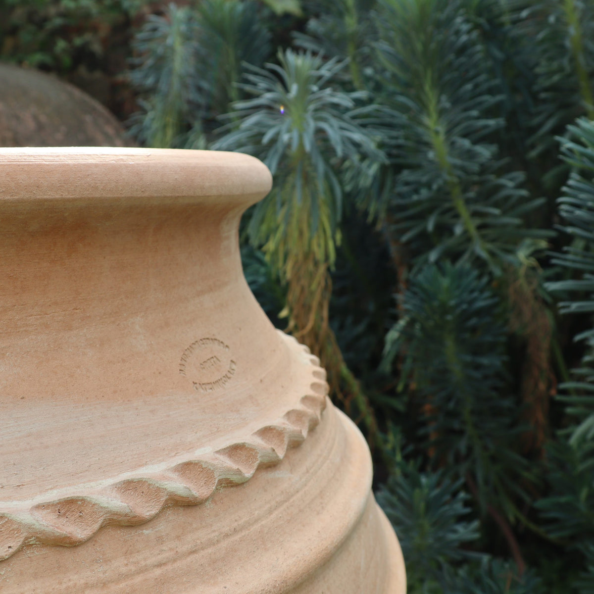 Eine Nahaufnahme der frostfesten Amphore "Agave", H=70cm, mit dekorativem Rand, die im Freien vor grünem, nadelartigem Laub steht.