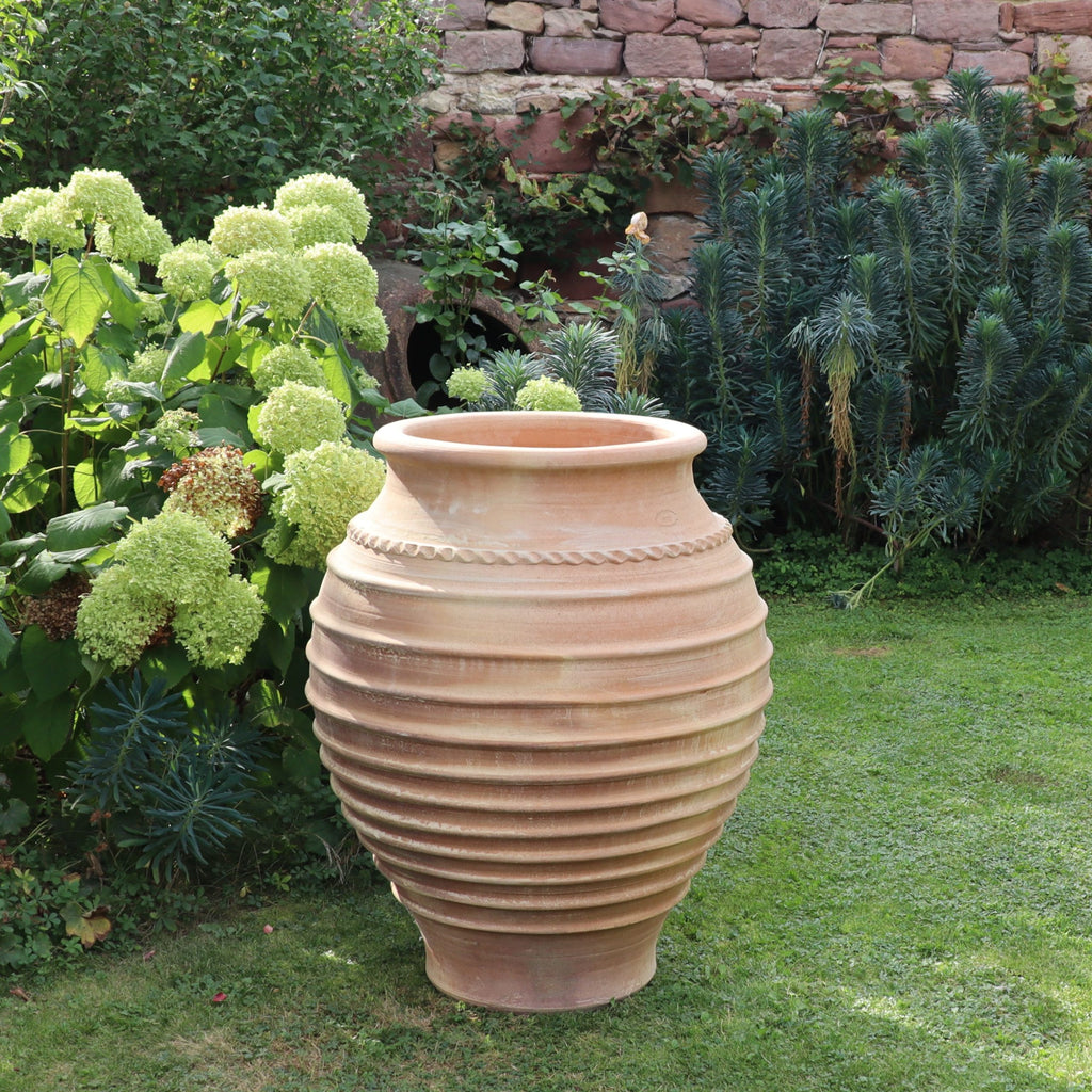 Eine frostfeste Amphore "Agave", H=70cm, steht auf einem grasbewachsenen Rasen zwischen grünen blühenden Pflanzen und Büschen, mit einer Steinmauer im Hintergrund.
