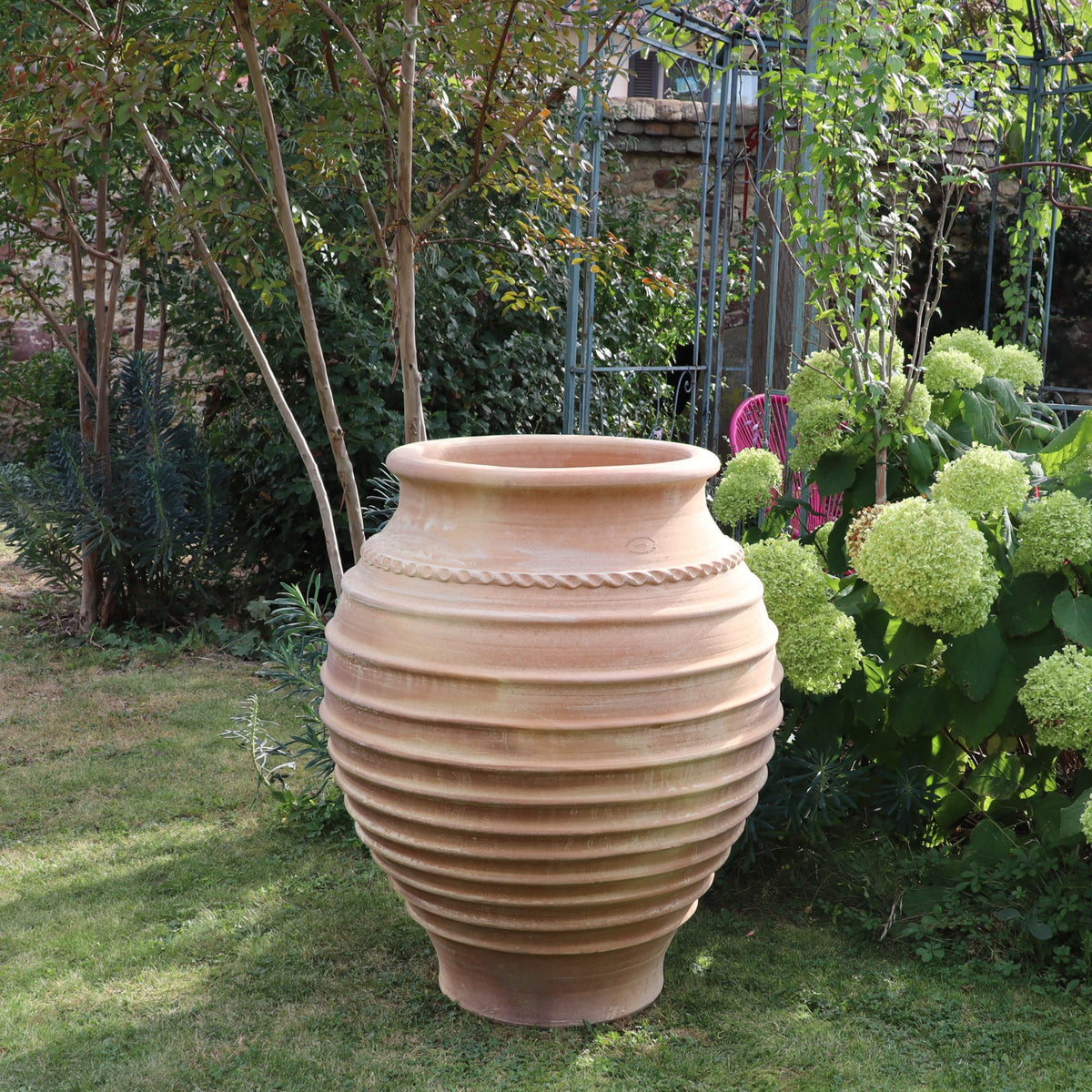 Ein großer gerippter Terrakotta-Topf, die frostfeste Amphore "Agave", H=70cm, steht auf einem grasbewachsenen Rasen, umgeben von grünen Pflanzen, blass blühenden Sträuchern und schlanken Bäumen in einem Garten.
