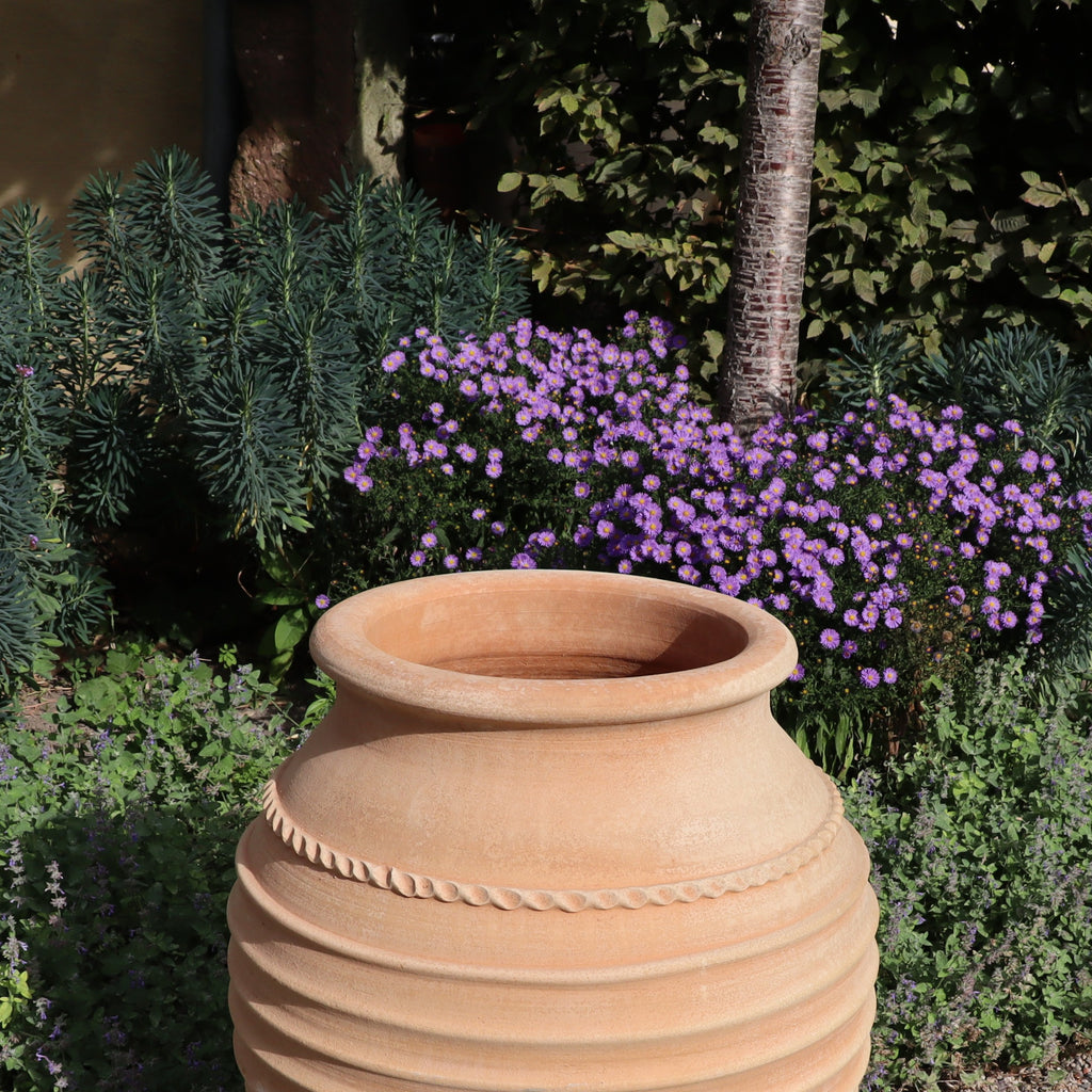 Eine frostfeste Amphore "Agave", H=80cm, steht im Garten zwischen grünem Laub und violetten Blüten, mit einem Baumstamm und belaubten Büschen im Hintergrund.