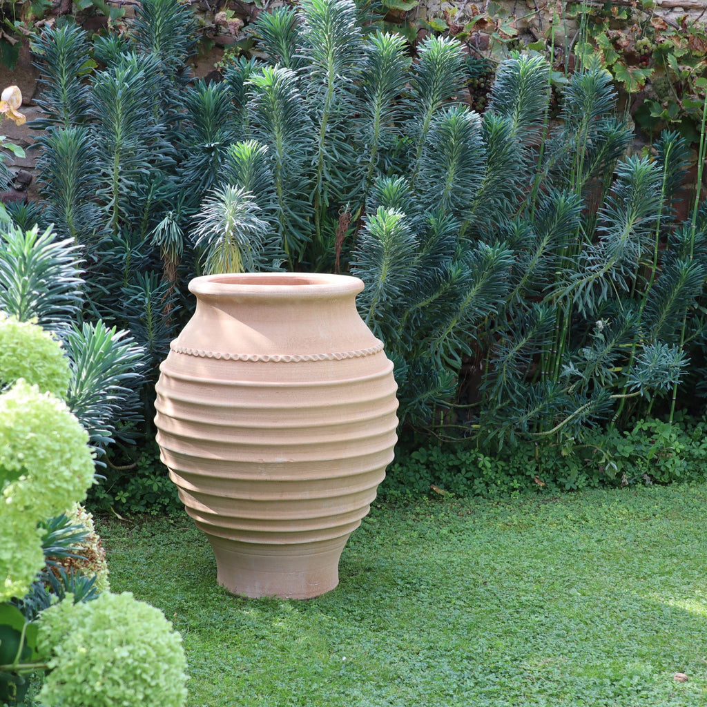 Der frostfeste Amphore "Agave", H=80cm, ist ein gerippter Terrakotta-Topf, der jeden Garten aufwertet. Stellen Sie ihn auf einen grünen Rasen zwischen üppigen Pflanzen und hohen Agaven, um einen charmanten Außenbereich zu schaffen.
