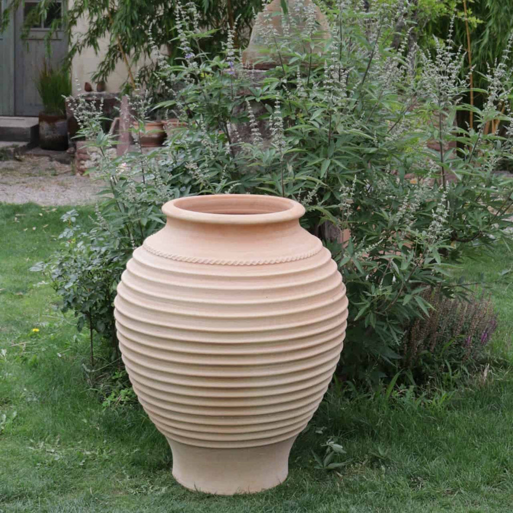 Eine frostfeste Terrakotta-Amphore „Agave“ mit einer Höhe von 100 cm schmückt einen Rasen, der von grünem Laub und Agavenpflanzen umgeben ist. Der Terrakotta-Topf ist gerippt und hat eine breite Öffnung und einen schmalen Boden. Er steht vor dem Hintergrund eines rustikalen Gartens voller Grün und eines Teils eines Steinpfads.