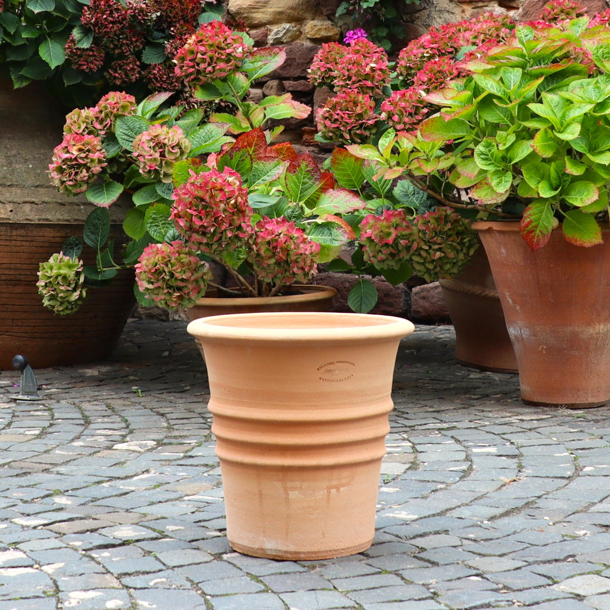 Der Blumentopf "Aster" H=35 cm steht leer auf einer Kopfsteinpflaster-Terrasse, umgeben von getopften Hortensien mit grünen und rötlich-rosa Blüten. Ziegel- und Steinmauern bilden eine reizvolle Kulisse.