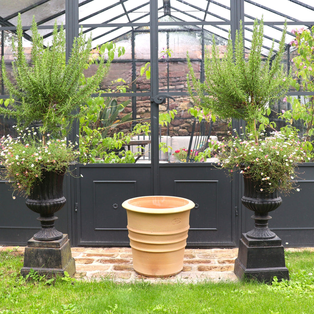 Zwei große schwarze Pflanzgefäße mit grün und weiß blühenden Pflanzen stehen auf beiden Seiten eines hohen beigen Terracotta Blumentopfes "Aster", H=40 cm, die alle vor einem Glasgewächshaus mit üppigem Grün stehen.