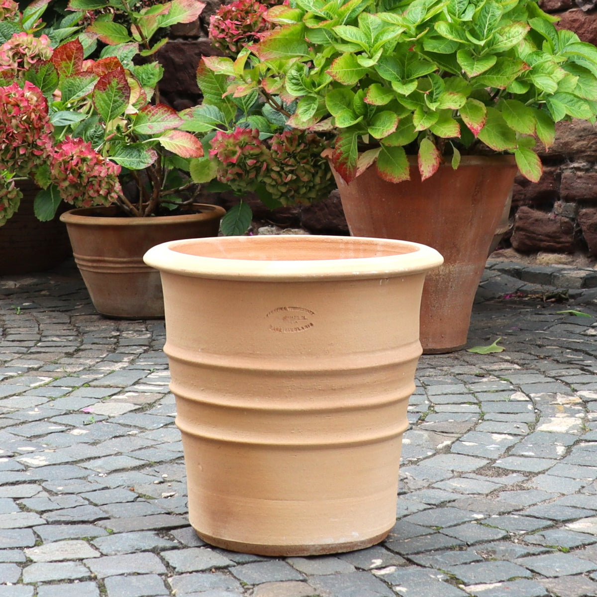 Der große, leere Terracotta Blumentopf "Aster" (H=40 cm) steht winterhart auf einem steingepflasterten Patio, umgeben von grünen Pflanzen in weiteren Töpfen vor einer Backsteinmauer.
