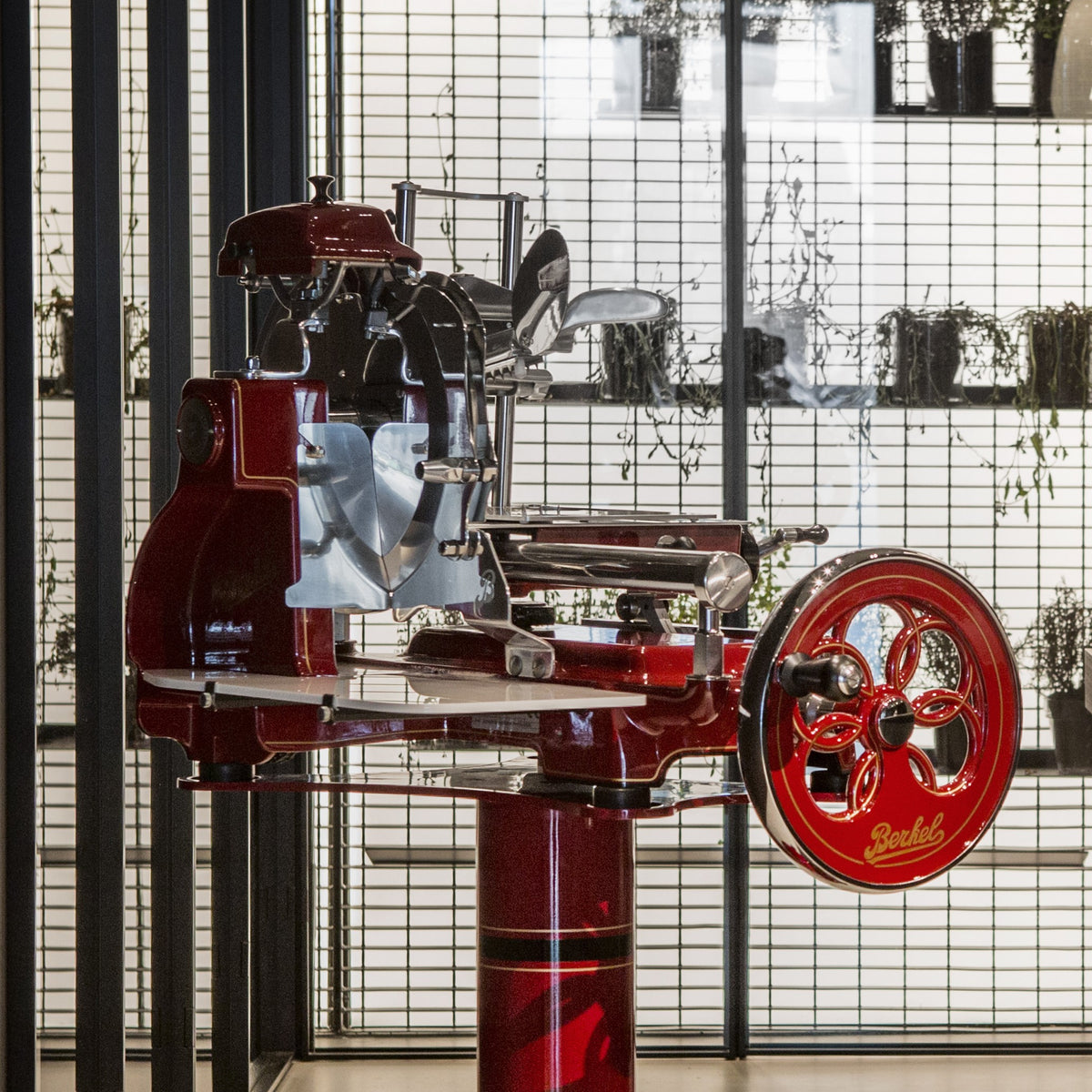 Eine Berkel Volano B3 Rot, Schwungradmaschine mit Standfuß und Fassholzeinlegebrett, steht in einem modernen Raum mit Pflanzen und Sonnenlicht, das durch die Fenster und Regale im Hintergrund strömt. Die detaillierte Handwerkskunst und die metallischen Akzente der Aufschnittmaschine sind deutlich zu erkennen.