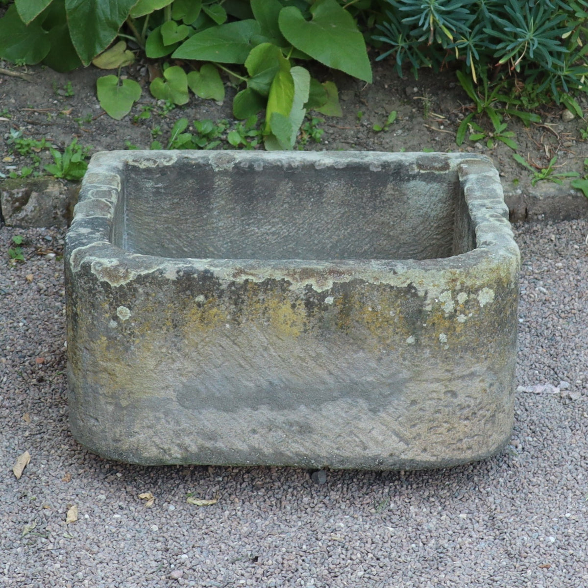 Ein altertümliches Sandsteinbecken 65 x 61 x 31 cm mit verwittertem Aussehen ruht auf Kies, umgeben von Grünpflanzen und Erde.