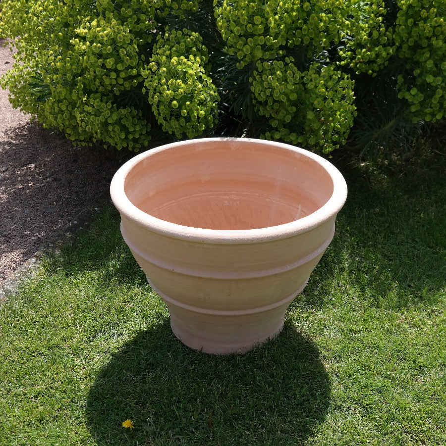 Ein großes, leeres winterhartes Pflanzgefäß „Buxus“, 60 cm steht auf einem gepflegten grünen Rasen mit Büschen aus üppigem Buxus-Blatt und kleinen gelben Blüten im Hintergrund. Der Topf wirft einen Schatten, der helles Sonnenlicht andeutet.