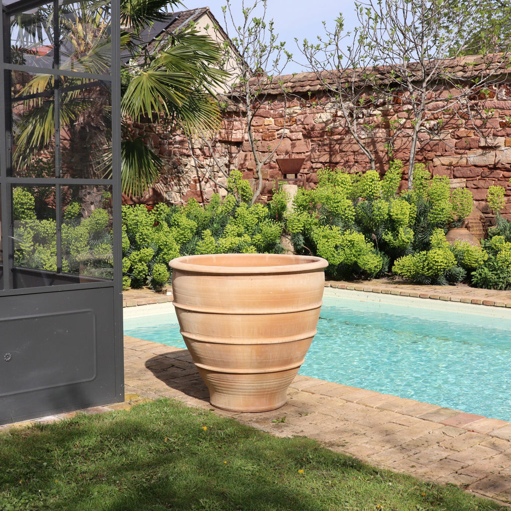 Ein großer, leerer XXL-Pflanzkübel „Buxus“, 80 cm, steht auf einem gemauerten Gehweg neben einem klaren Swimmingpool. Der Pool ist von einer roten Backsteinmauer und üppigen grünen Buxus-Sträuchern umgeben. Auf der linken Seite des Bildes ist ein Teil einer graugrünen Metallkonstruktion mit Glasplatten zu sehen.