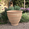 Ein großer, leerer frostfester XXL Pflanzkübel „Buxus“, 80 cm mit breitem Rand und konischem Fuß steht auf einem Kiesweg in einem Garten. Um den Topf herum stehen verschiedene Grünpflanzen, darunter Buxus, und violette Blumen, im Hintergrund sind ein Haus und ein Regenfallrohr zu sehen.