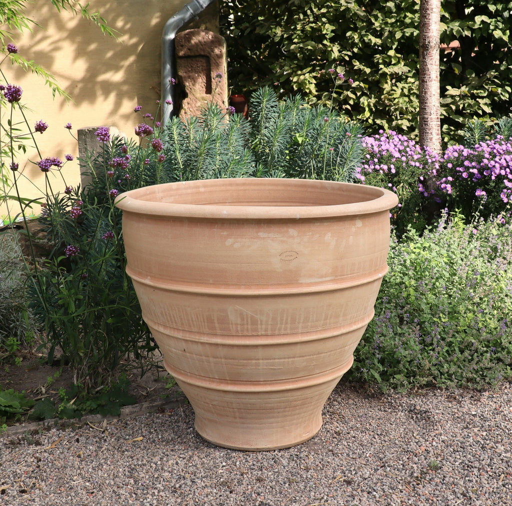 Ein großer, leerer frostfester XXL Pflanzkübel „Buxus“, 80 cm mit breitem Rand und konischem Fuß steht auf einem Kiesweg in einem Garten. Um den Topf herum stehen verschiedene Grünpflanzen, darunter Buxus, und violette Blumen, im Hintergrund sind ein Haus und ein Regenfallrohr zu sehen.