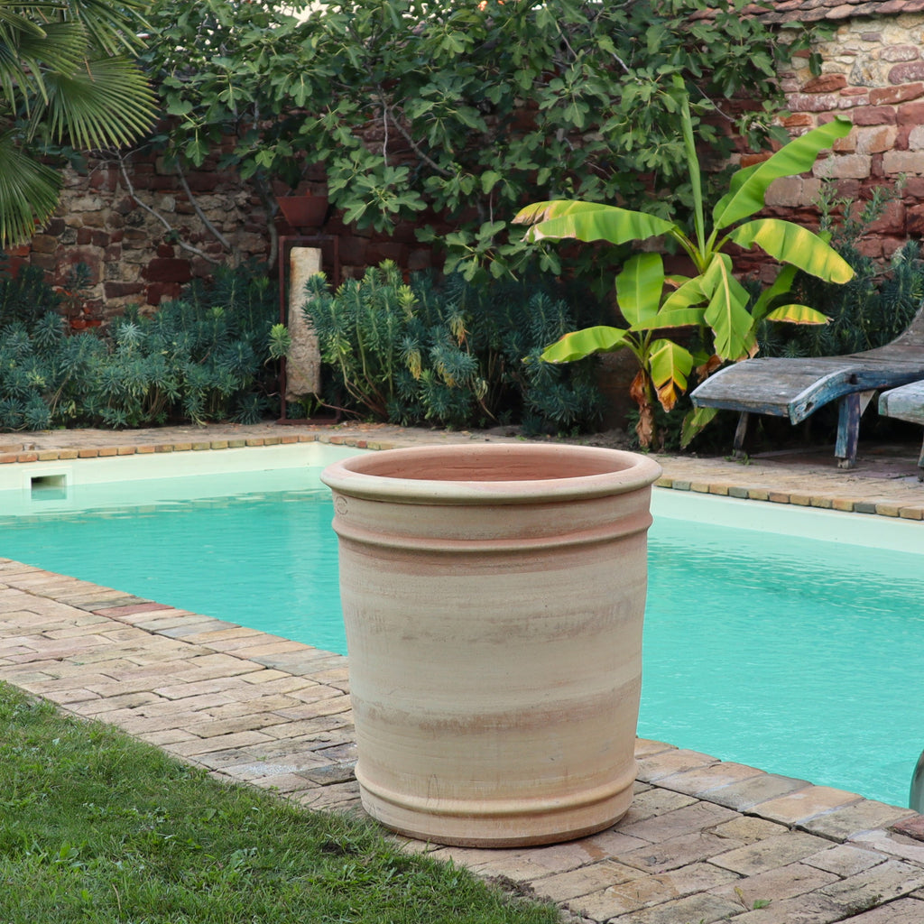 Eine Außenszene zeigt einen türkisfarbenen rechteckigen Swimmingpool, der von einer gepflasterten Terrasse umgeben ist. Ein großer, leerer XXL-Terrakotta-Pflanzkübel „Canna“, H=60 cm, steht am Poolrand. Im Hintergrund gibt es üppiges Grün, darunter Bananenpflanzen, üppige Farne und leuchtende Canna neben Steinmauern.