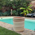 Eine Außenszene zeigt einen türkisfarbenen rechteckigen Swimmingpool, der von einer gepflasterten Terrasse umgeben ist. Ein großer, leerer XXL-Terrakotta-Pflanzkübel „Canna“, H=60 cm, steht am Poolrand. Im Hintergrund gibt es üppiges Grün, darunter Bananenpflanzen, üppige Farne und leuchtende Canna neben Steinmauern.