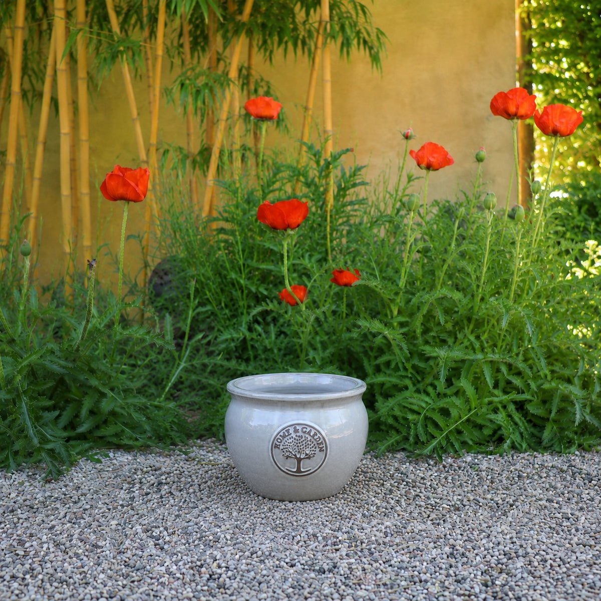 Bauchiger glasierter Pflanzkübel "Cappuccino" Durchmesser 16-38cm