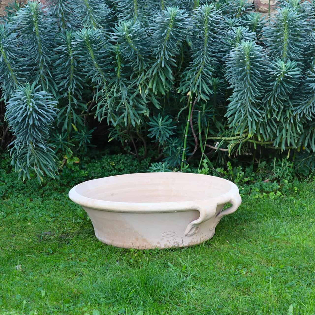 Eine geräumige Terracotta-Pflanzschale "Crocus", B=60 cm, mit zwei Henkeln steht auf grünem Gras vor dichten, immergrünen Pflanzen.