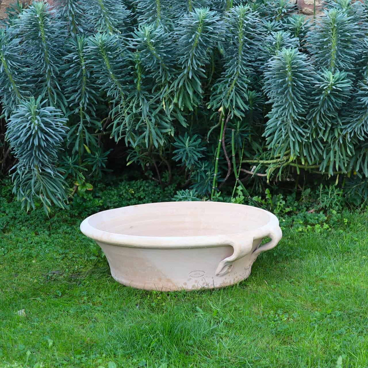 Eine geräumige Terracotta-Pflanzschale "Crocus", B=60 cm, mit zwei Henkeln steht auf grünem Gras vor dichten, immergrünen Pflanzen.