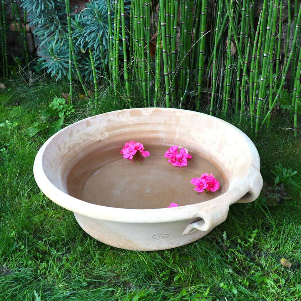 Eine Terrakotta-Pflanzschale "Crocus", B=60 cm, in Beige ist mit Wasser und schwimmenden rosa Blüten gefüllt. Sie sitzt auf grünem Gras, mit hohen Bambushalmen und Blattpflanzen im Hintergrund.