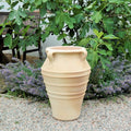 Eine große, frostbeständige Terrakotta-Amphore mit Henkeln, genannt „Datura“, 50 cm hoch, steht auf einer Kiesfläche. Der beige Topf ist mit einem horizontalen seilartigen Muster verziert. Hinter der Amphore steht eine üppige Feigenpflanze mit großen grünen Blättern, teilweise ist ein Holzstuhl zu sehen. Frostfeste Datura-Blüten umgeben den Topf.