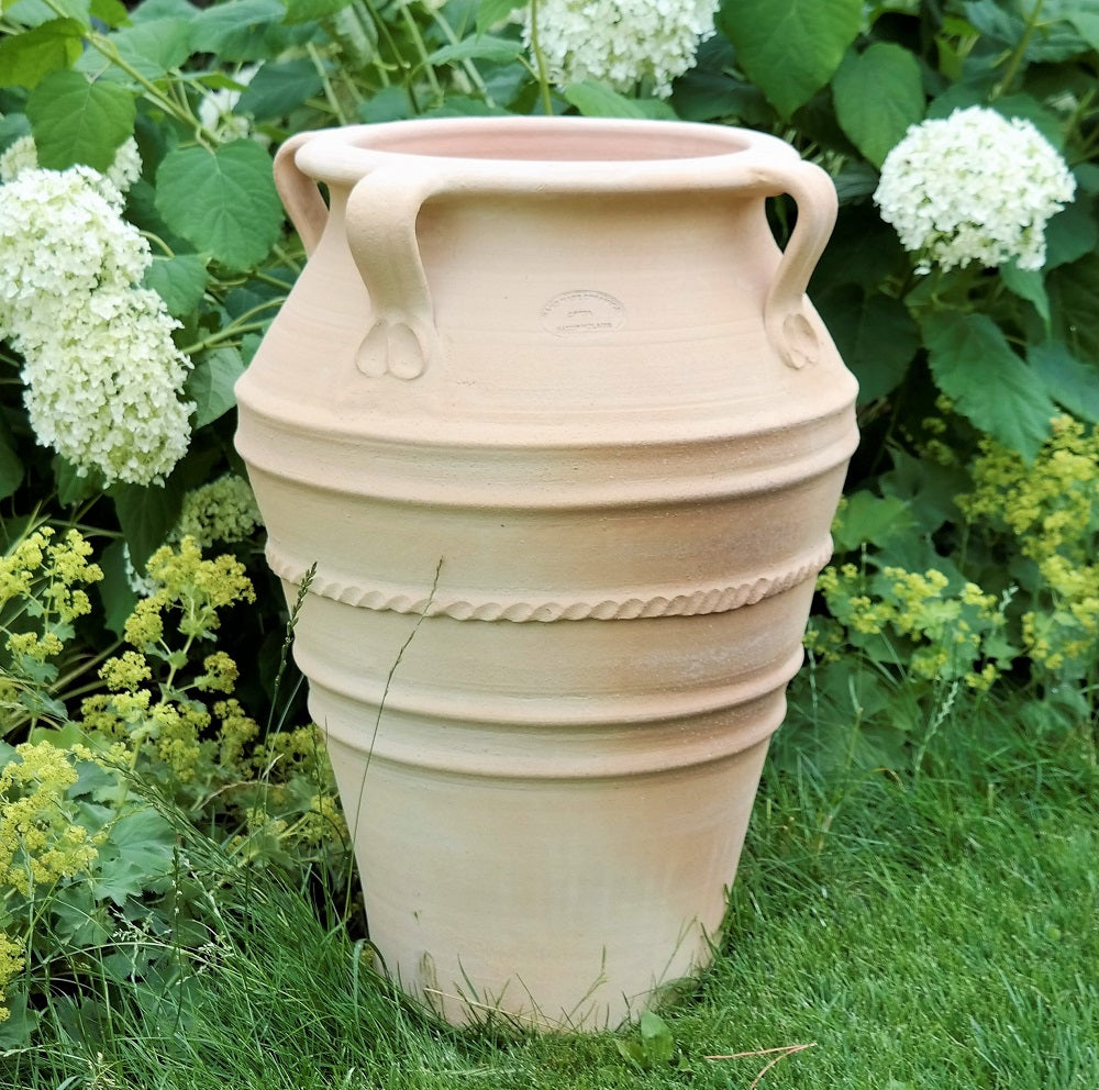 Eine große, beige Keramikurne mit dem Namen „frostfeste Terrakotta-Amphore mit Henkel ‚Datura‘, H=50 cm“ mit dekorativen Griffen und strukturierten Bändern steht auf einer Rasenfläche, umgeben von grünem Laub und weiß blühenden Pflanzen.