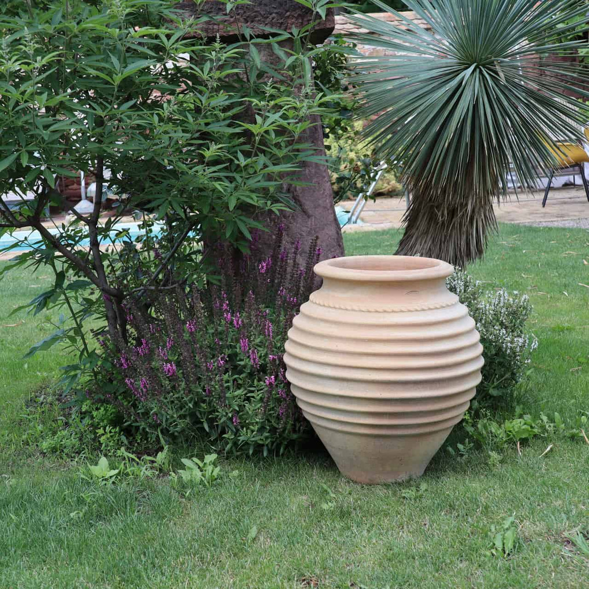 Die Terrakotta-Amphore Garten „Ficus“ H=60cm steht prominent auf einem gepflegten grünen Rasen. Neben einem Baum mit üppigem Laub platziert und von violett blühenden Pflanzen umgeben, schafft die Amphore eine malerische Kulisse. Im Hintergrund ragen die stacheligen Blätter einer Yucca-Pflanze nach außen und ergänzen die harmonische Gartenszene.