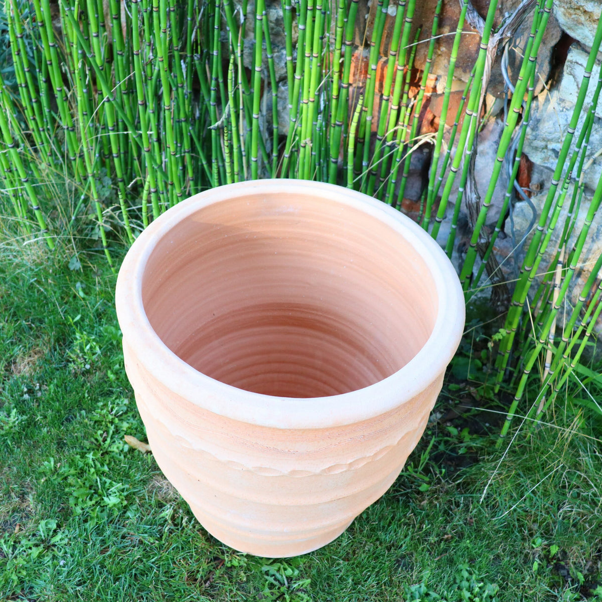 Ein großer, leerer Terrakotta-Blumentopf „Granatum“, 50 cm hoch, mit strukturierter Oberfläche, steht auf grünem Gras. Hinter dem Topf steht ein dichter Haufen aufrecht stehender Bambusstäbe. Im Hintergrund ist eine Steinmauer mit einigen sichtbaren Ziegeln zu sehen.