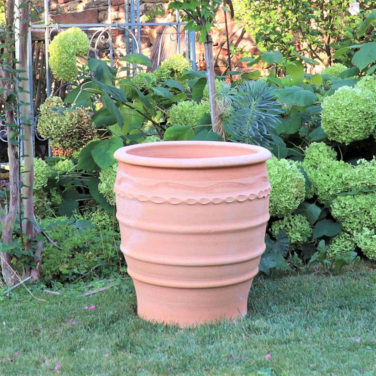 Ein Blumentopf „Granatum“ aus Terrakotta, 50 cm, mit dekorativem Bandmuster steht auf einem saftig grünen Rasen. Im Hintergrund harmonieren blühende Hortensienpflanzen mit großen, runden, grünlich-weißen Blüten mit verschiedenen anderen Gartenpflanzen und Metallkonstruktionen.
