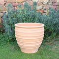 Ein großer, leerer frostfester Blumentopf „Granatum“ (60 cm) mit horizontalen Rillen steht auf einer Rasenfläche. Dahinter trägt eine Steinmauer, die teilweise von hohen, grünen Sukkulenten mit schmalen Blättern bedeckt ist, zur ruhigen Außenszene an einem sonnigen Tag bei.