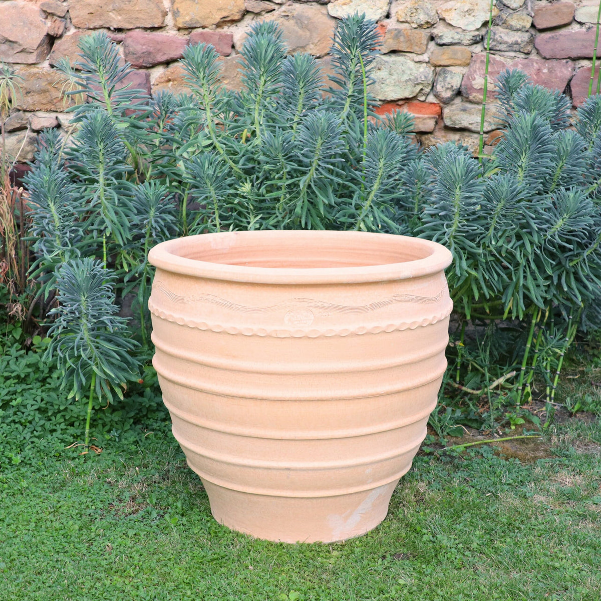 Ein großer, leerer frostfester Blumentopf „Granatum“ (60 cm) mit horizontalen Rillen steht auf einer Rasenfläche. Dahinter trägt eine Steinmauer, die teilweise von hohen, grünen Sukkulenten mit schmalen Blättern bedeckt ist, zur ruhigen Außenszene an einem sonnigen Tag bei.