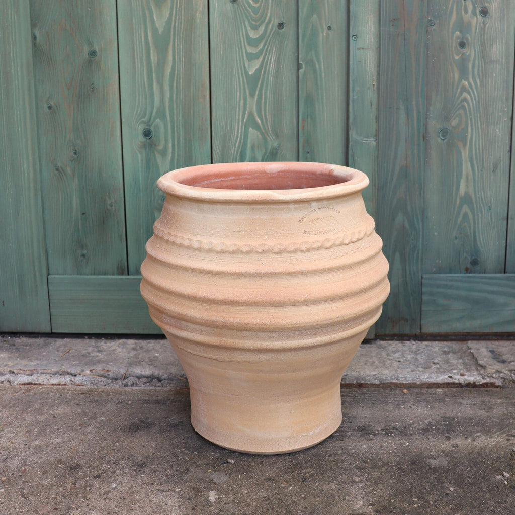 Eine kleine, hellbraune Terrakotta-Pflanzamphore „Ficus“ mit waagerechten Rillen und einem dekorativen Band um den oberen Teil steht vor einer verwitterten grünen Holztür. Der rustikale Topf, perfekt für einen Ficus, hat oben eine breite Öffnung und ist H=40cm.