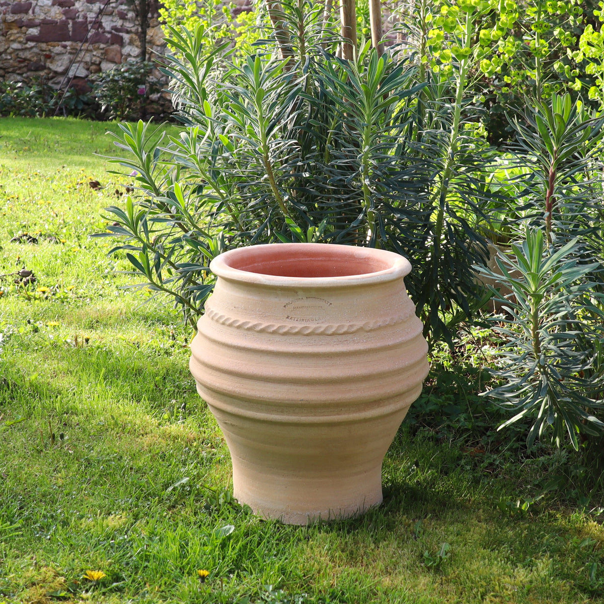 Eine rustikale, beige kleine Pflanzamphore „Ficus“, H=40cm mit gerippter Struktur steht auf einer Rasenfläche. Umgeben von üppigen grünen Pflanzen und Büschen, im Hintergrund ist eine Steinmauer mit zusätzlichem Grün zu sehen. Der 40cm hohe Topf scheint leer zu sein und fängt das Sonnenlicht ein.