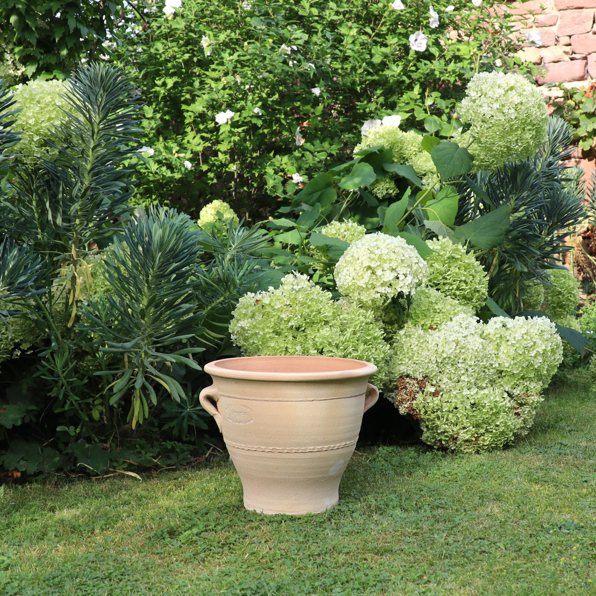 Ein Terrakotta-Blumentopf „Rosa“, H=25cm, mit zwei Henkeln steht auf grünem Gras vor einem Gartenbeet mit üppigem grünem Laub und blühenden weißen Hortensien. Im Hintergrund befindet sich eine Steinmauer, die teilweise mit zusätzlichem Grün bedeckt ist.