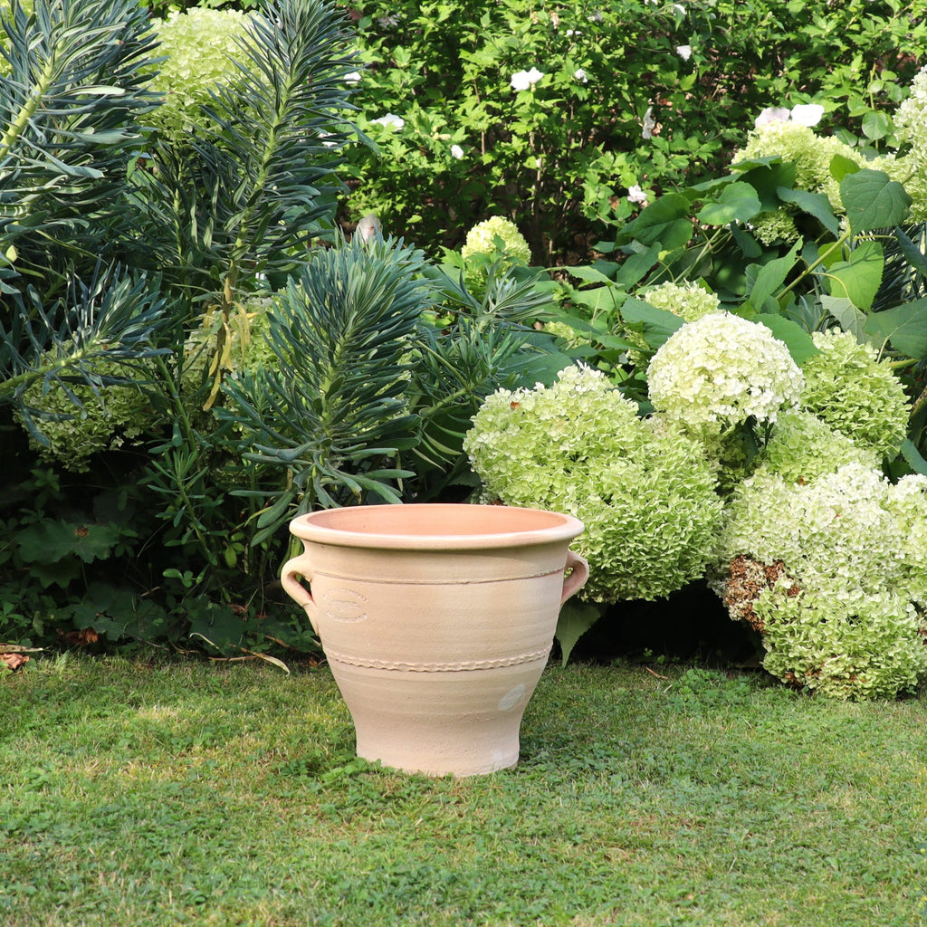 Ein großer, leerer Terrakotta-Blumentopf „Rosa“ (H=25 cm) mit Griffen steht auf einer Rasenfläche, umgeben von üppigem grünem Laub und blühenden weißen Hortensien in einer Gartenkulisse.