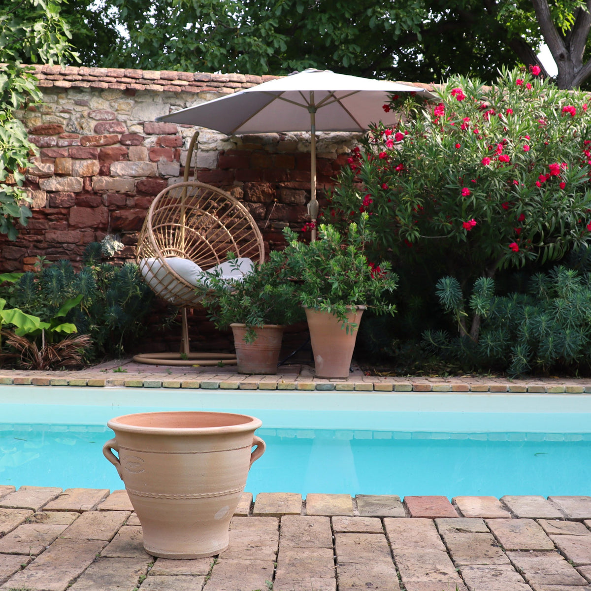 Eine ruhige Poolumgebung mit einem türkisfarbenen Pool, einer Topfpflanze im Vordergrund und einem gemütlichen Sitzbereich mit einem hängenden Korbstuhl. Ein 25 cm großer Terrakotta-Blumentopf „Rosa“ und andere Topfpflanzen sorgen für Charme, während üppiges Grün und blühende Rosa-Blumen das ruhige Ambiente verstärken.