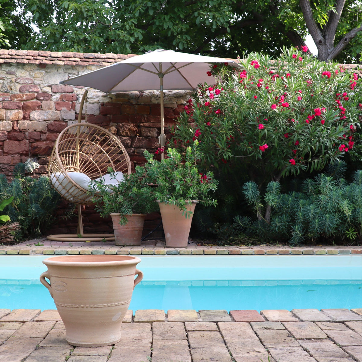 Eine ruhige Hinterhofszene mit einem Korbstuhl mit gepolsterter Sitzfläche unter einem weißen Sonnenschirm neben einem Swimmingpool. Ein Terrakotta-Blumentopf „Rosa“ (H = 25 cm) und ein leuchtender Rosenbusch mit rosa Blüten werten die Steinmauer im Hintergrund auf und schaffen eine friedliche und einladende Atmosphäre.