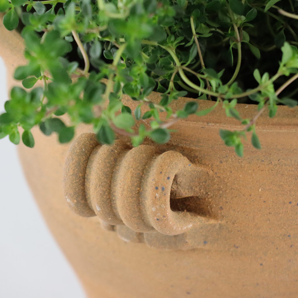 Nahaufnahme einer handgefertigten Pflanzschale aus Terrakotta mit strukturiertem Griffdetail, aus dem üppiges grünes Blattwerk hervorschaut. Die Pflanzschale hat ein rustikales, erdiges Aussehen und das Bild konzentriert sich auf das komplizierte Design des Griffs und die leuchtend grünen Blätter.