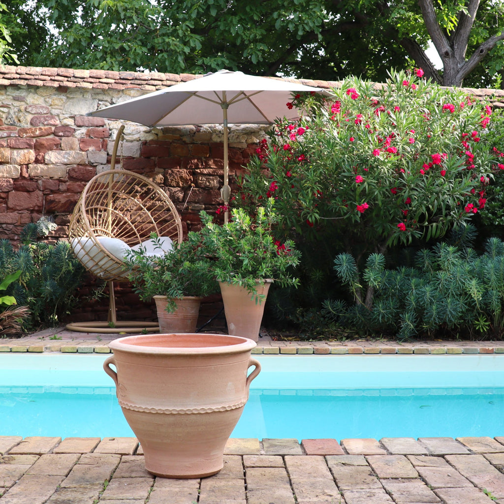 Eine ruhige Hinterhofszene mit einem Swimmingpool, einem großen Terrakotta-Pflanzkübel „Rosa 2“ (H=35 cm), viel Grün und einer Steinmauer. Es gibt einen Sonnenschirm, der Schatten über Topfpflanzen spendet, und einen Hängesessel mit Kissen. In der Nähe der Backsteinmauer blühen rote Blumen, die der Szenerie lebendige Farben verleihen.