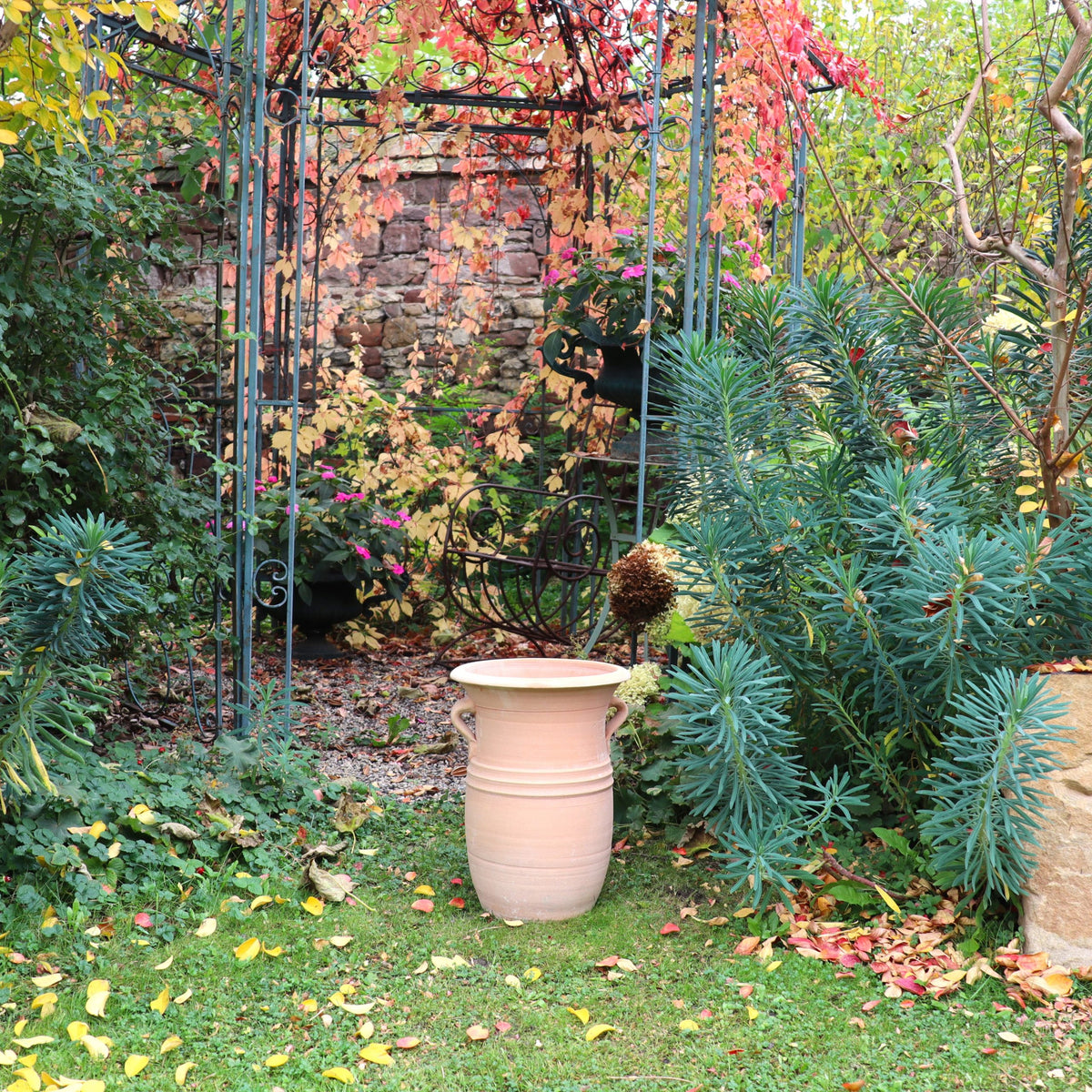 Die Vase aus Terracotta "Cistus 2", H=40cm, steht auf grünem Gras zwischen üppigen Pflanzen und Herbstlaub. Eine Gartenlaube aus Metall und eine Steinmauer umrahmen die Szene, die durch leuchtend rotes und gelbes Laub hervorgehoben wird.