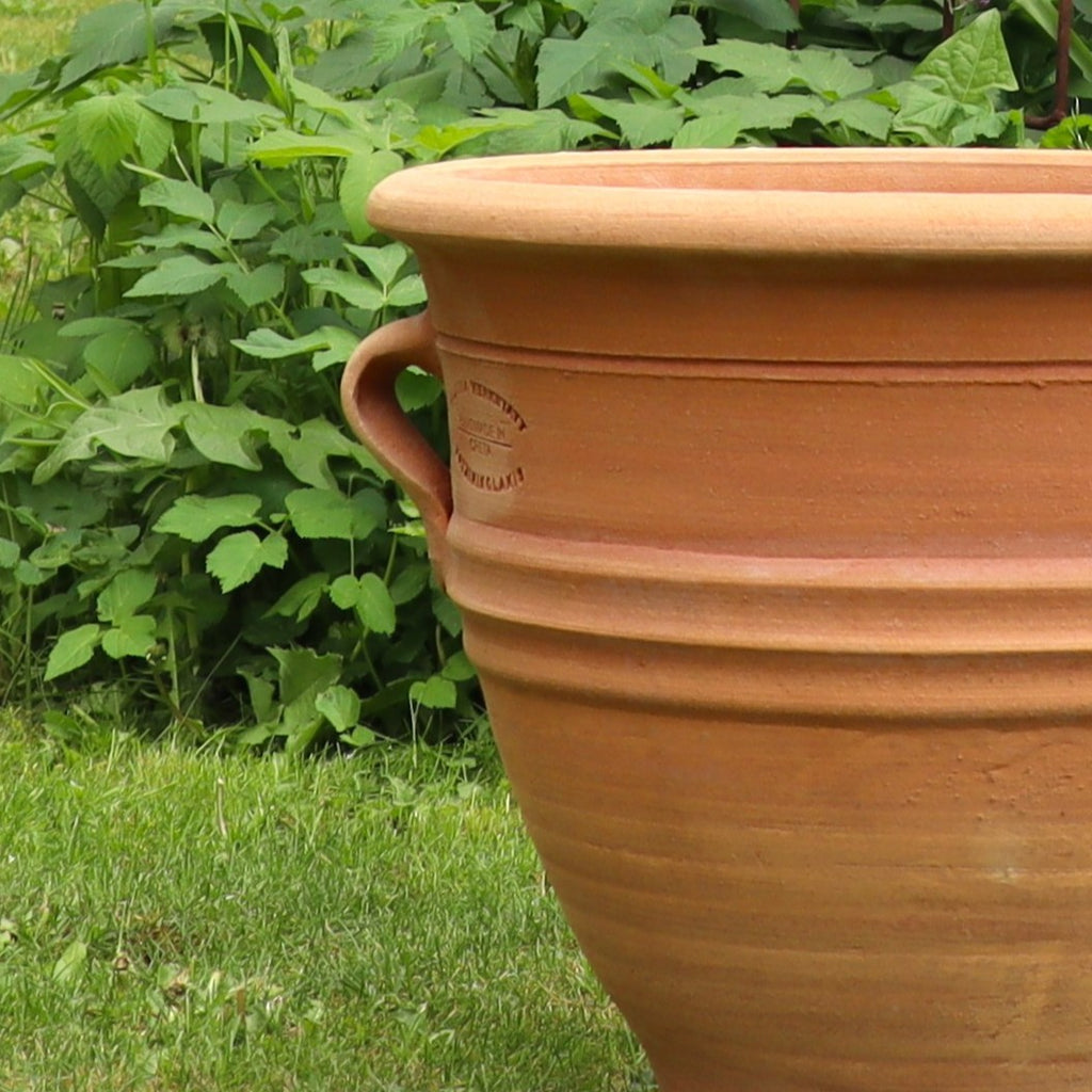 Das winterharte Terracotta Pflanzgefäß "Rosa", H=35 cm, mit zwei Henkeln steht auf grünem Gras, umgeben von üppigen, blättrigen Pflanzen im Hintergrund.