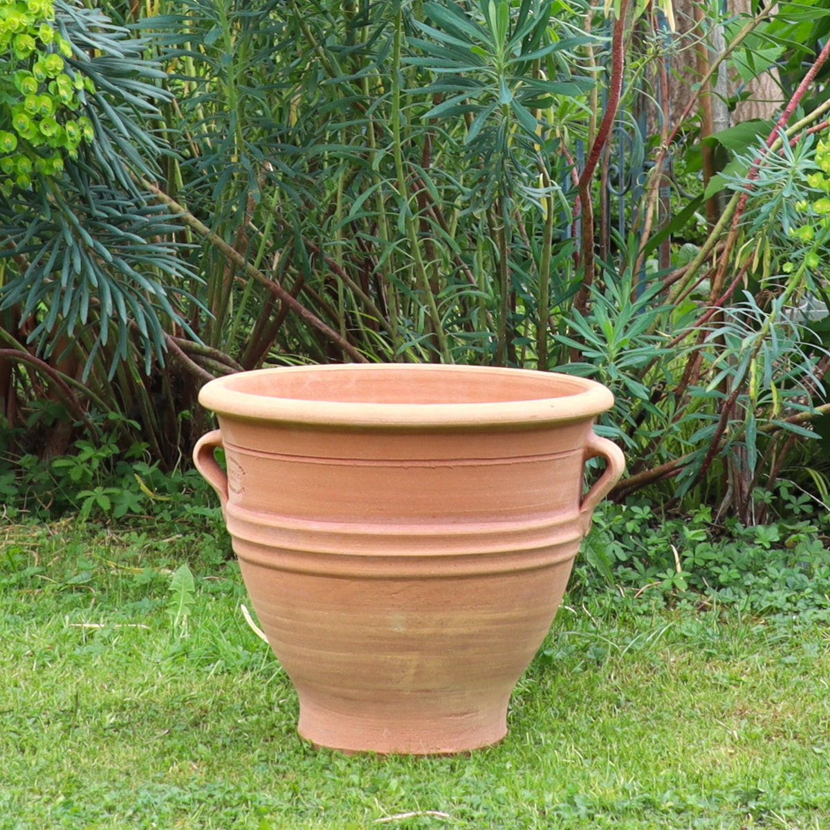 Das winterharte Terracotta Pflanzgefäß "Rosa", H=35 cm, mit zwei Henkeln steht auf einer grünen Wiese im Garten, umgeben von üppigem Blattwerk und hohen Pflanzen.