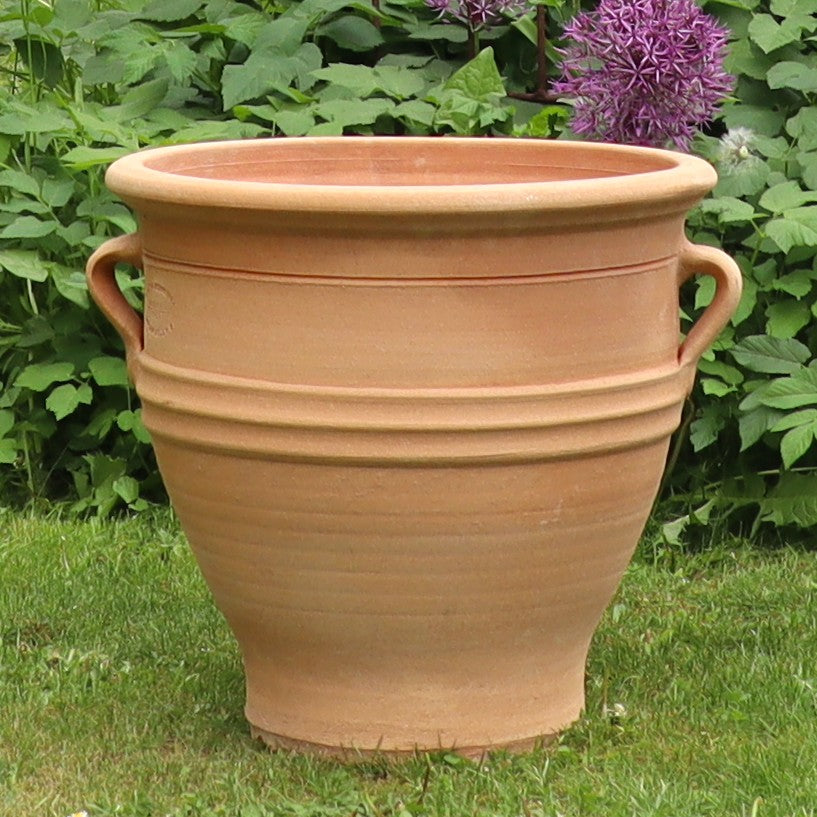 Ein großes, leeres Terracotta-Pflanzgefäß "Rosa", H=40 cm mit zwei Henkeln sitzt auf grünem Gras, umgeben von Blattpflanzen und lila Blüten in einem Garten.