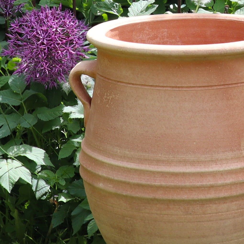 Die Amphore zum Bepflanzen "Thymus" H=40cm, ein großes hellbraunes Keramikgefäß mit zwei Griffen, steht im Freien neben üppigem Grün und lila Alliumblüten.