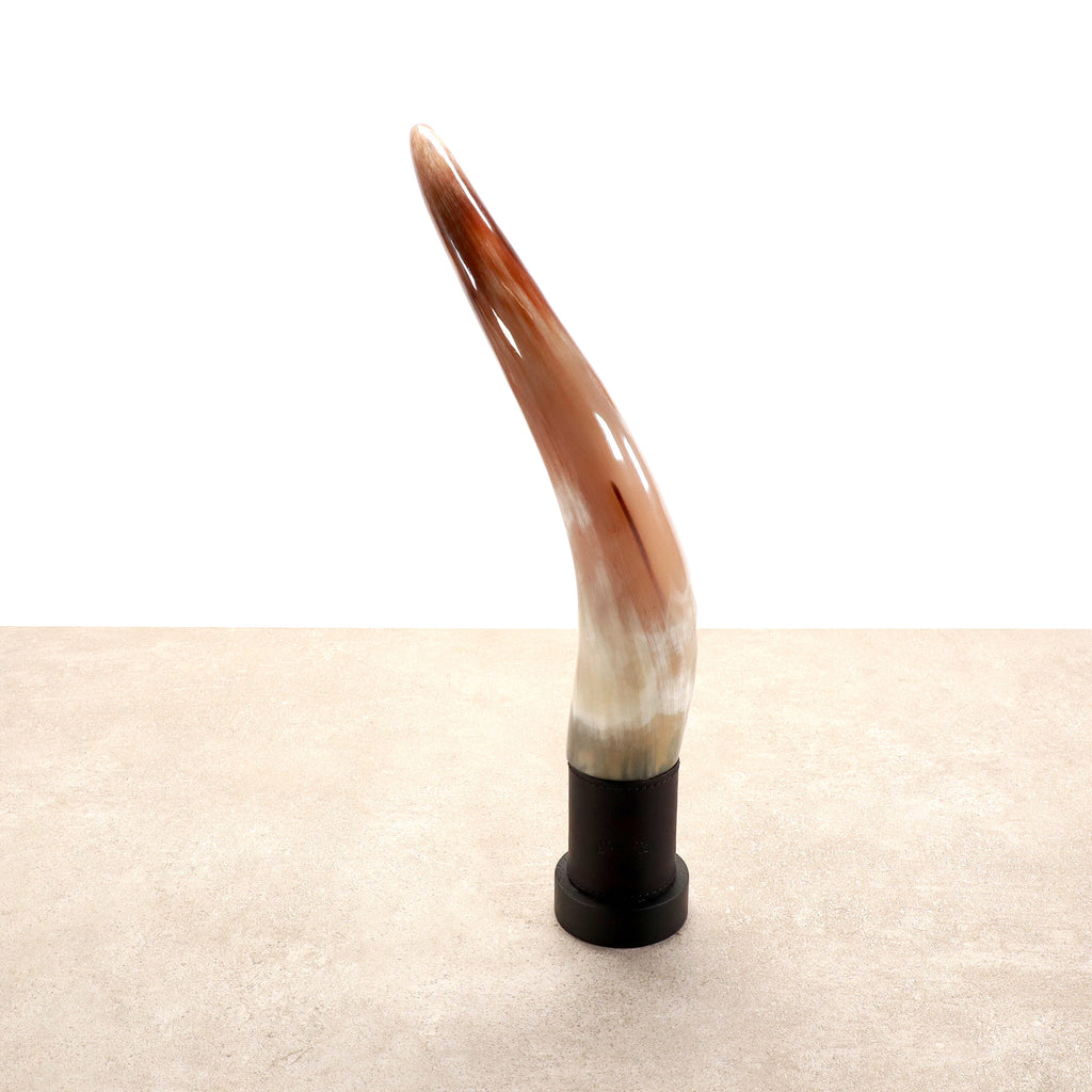 Ein poliertes, glattes und gebogenes Horn, das vertikal auf einem schwarzen zylindrischen Ständer steht. Diese von Forge de Laguiole handgefertigte exklusive Pfeffermühle weist einen Farbverlauf von Hell- bis Dunkelbraun auf, der zum Boden hin in Weiß übergeht. Sie steht vor einem schlichten, hellen Hintergrund.
